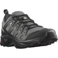 Salomon X-Braze shoes